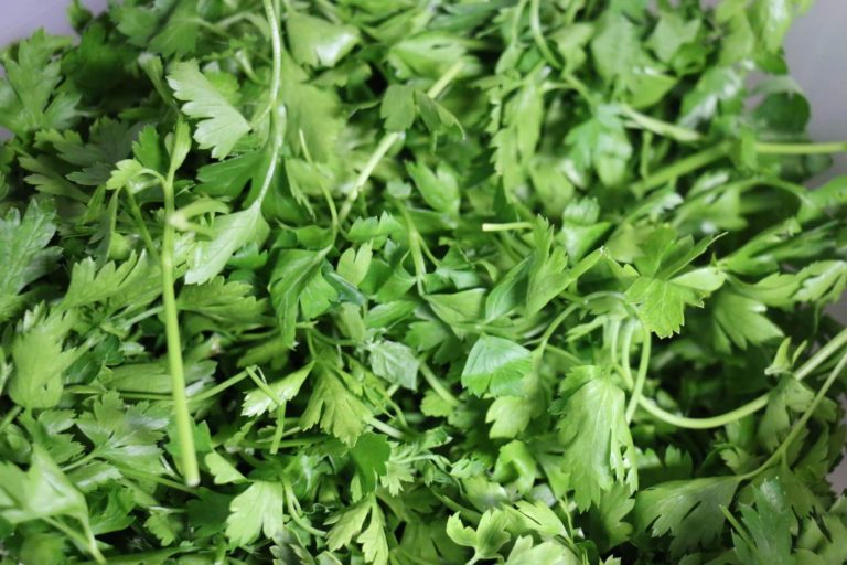 Fresh parsley for chimichurri